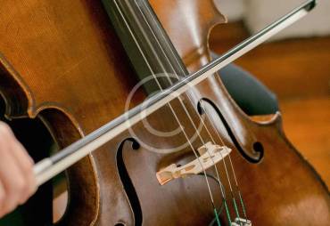 5 Popular Viola performances